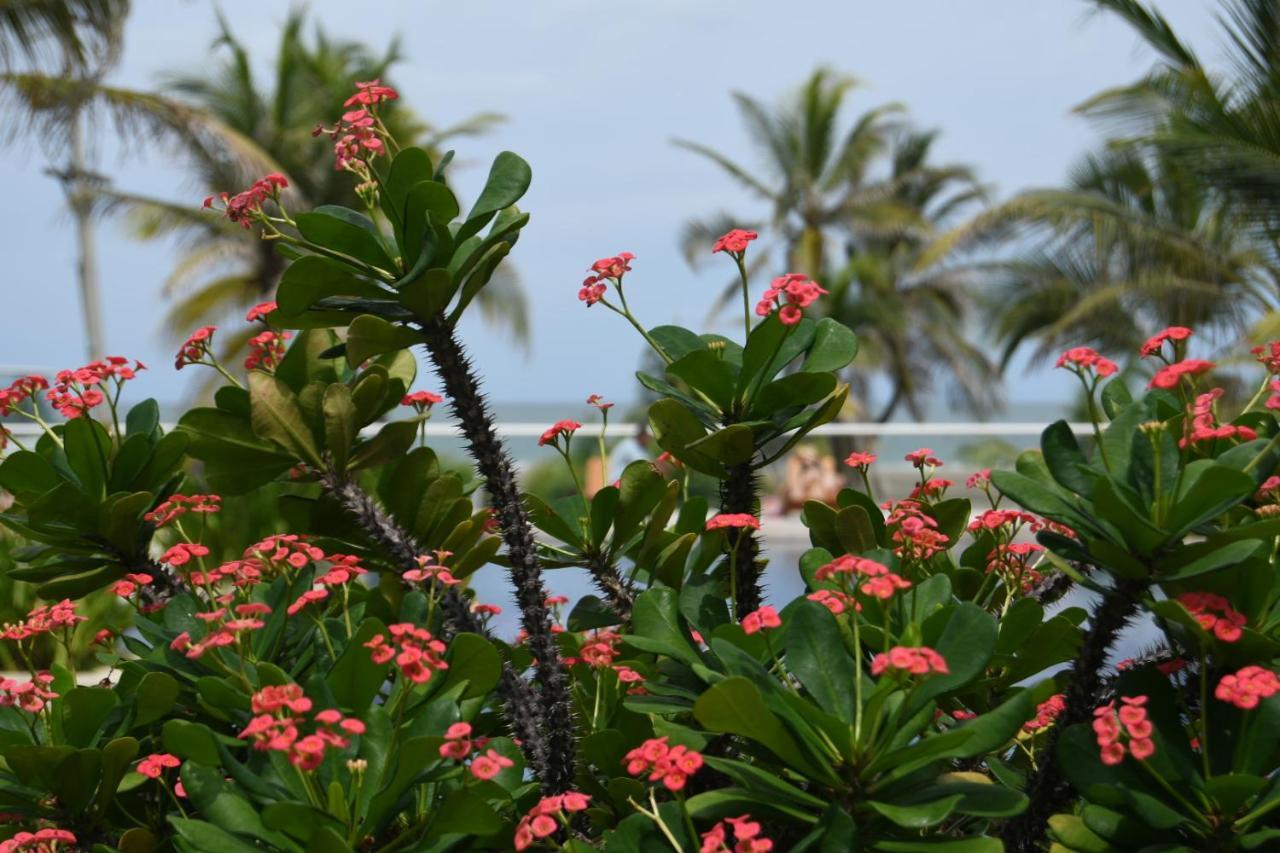 Hermoso Apartamento: Beachfront Comfort with Direct Access Cartagena Exterior photo